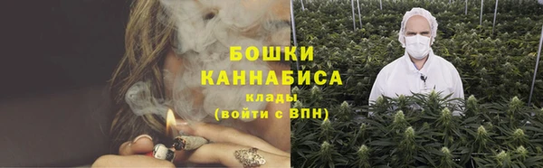 сатива Бронницы