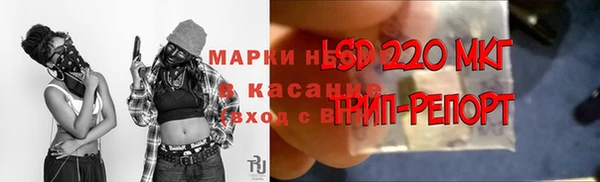 соль ск Богданович