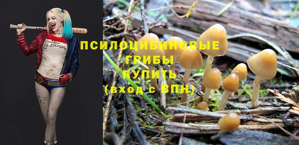 MESCALINE Бородино