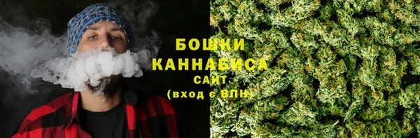 сатива Бронницы