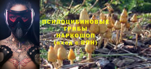 MESCALINE Бородино