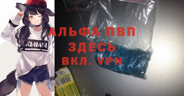 сатива Бронницы