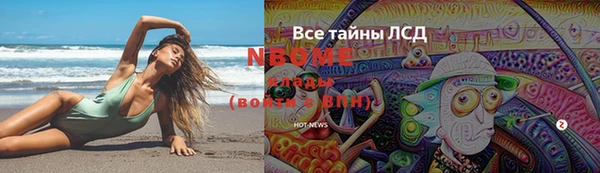 соль ск Богданович